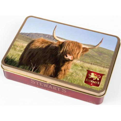 Scottish Highland Cow