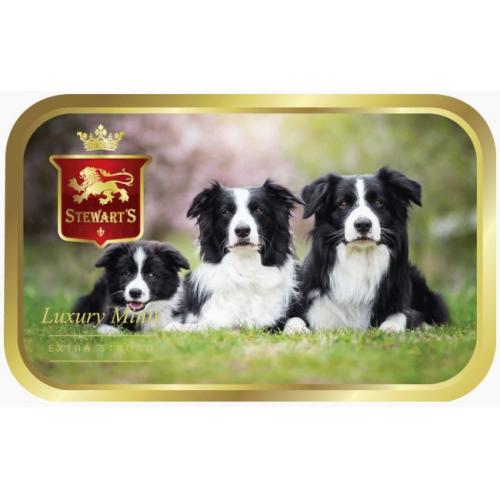 Stewarts Mints - Cute Collies