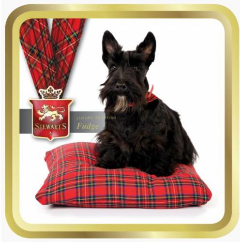Stewarts Fudge Tartan Collection - Scottie on Tartan Cushion