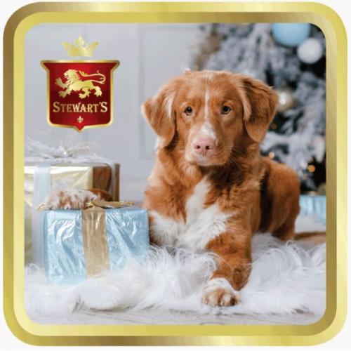 Stewarts Fudge - Festive Holiday