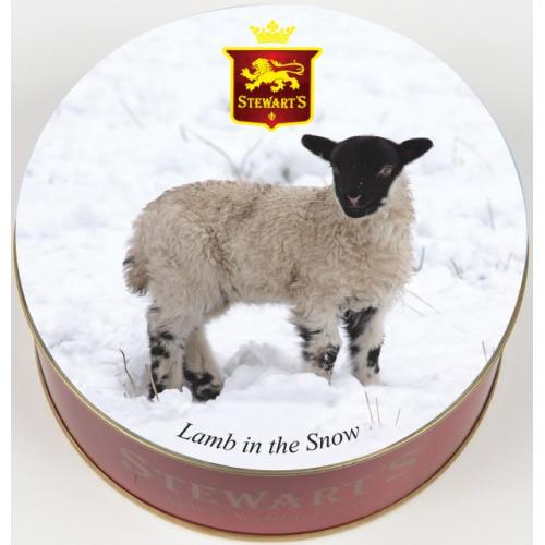 Lamb in the Snow