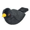 WR RSPB Bird 6 In - Blackbird authentic bird call