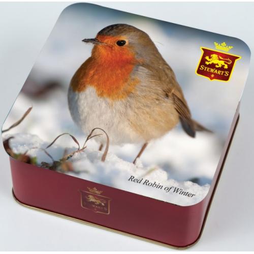 Red Robin of Winter