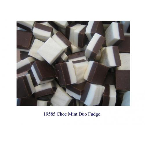 Choc Mint Duo Fudge Tub