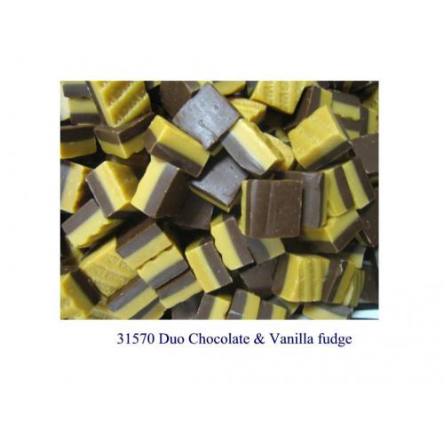 Duo Chocolate Vanilla Fudge Tub
