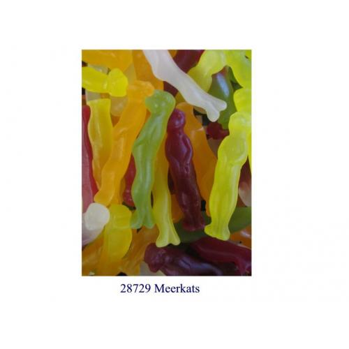 Meerkats