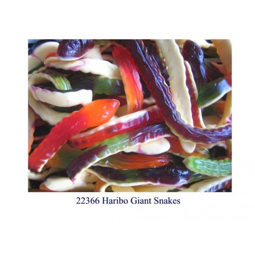 Haribo Giant Snakes Yellow Bellies
