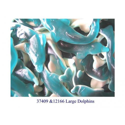 Large Dolphins