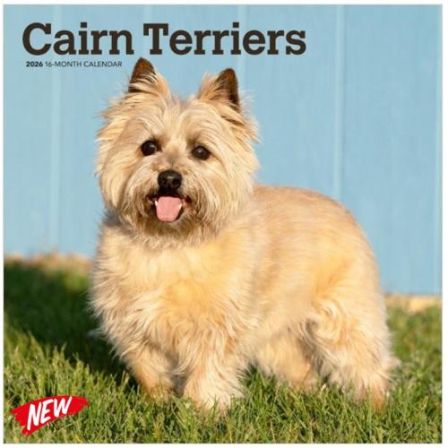Calendar Cairn Terriers 2026