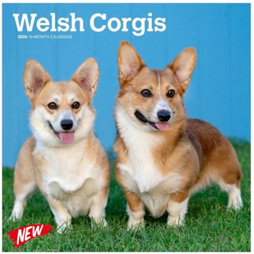 Calendar Welsh Corgis 2026