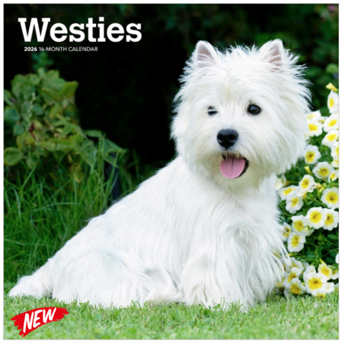 Calendar West Highland Terrier (Westie) 2026