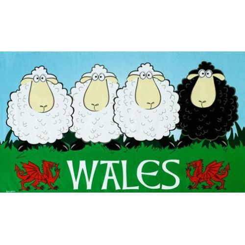 Tea Towels - Wales Black Sheep