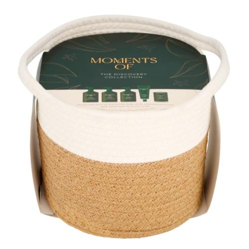 Sainsburys Moments Of The Discovery Collection Basket Set