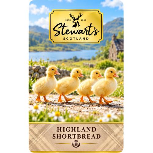 Stewarts Cardboard Tube - Duckling