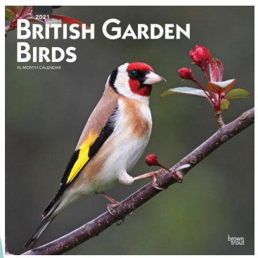 British Garden Birds 2021