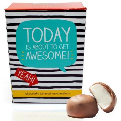 Milk chocolate covered mallows - Today is About to get Awesome!