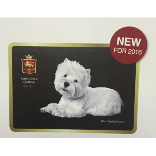 West Highland Terrier