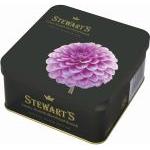 Dahlia in Full Bloom